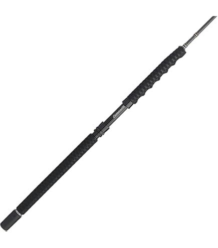 Amazon.com : Slammer IV Spinning Black Gold 30.7 oz : Sports